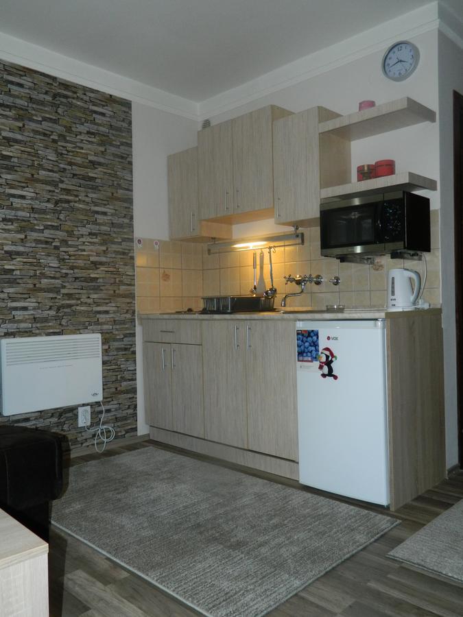 Apartment Sofi Yeti Kopaonik Exterior photo